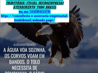 CINCO CONJUNTOS-Serviços Consultoria Apoio Pequenas Micro Em