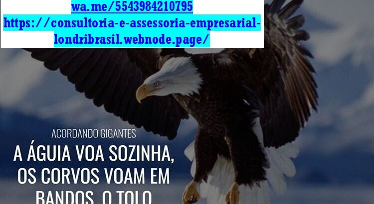 CINCO CONJUNTOS-Serviços Consultoria Apoio Pequenas Micro Em