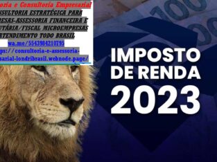 Declaração Anual do MEI – Como Fazer e o que informar 2025