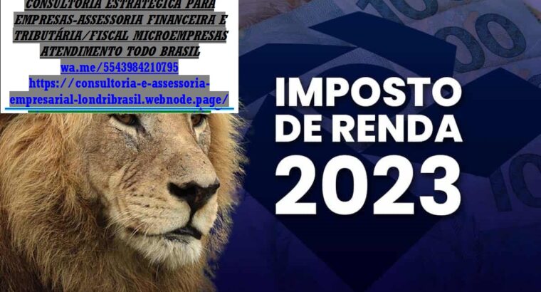 Declaração Anual do MEI – Como Fazer e o que informar 2025